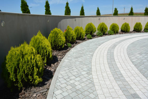 Best Driveway Pavers Cost  in Pahrump, NV